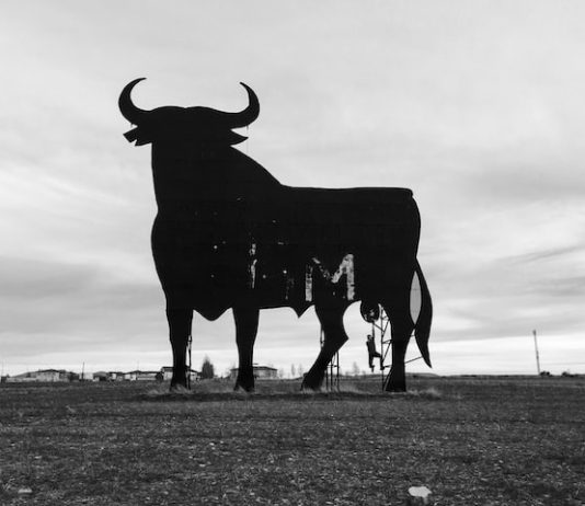 50% Of Bitcoin Holders At A Loss, Why This Number Is Favorable For BTC