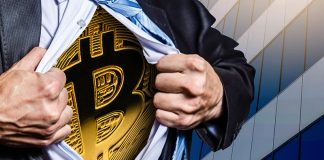 Bitcoin Retail Investors Now Hold 17% Of Overall BTC Supply, However Is It Great News?