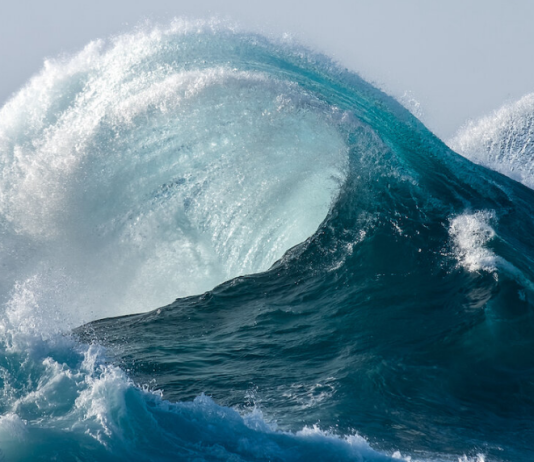 WAVES Gets Dragged Down By USDN, In Spite Of Pumping Financier Circulation