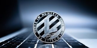 Litecoin (LTC) Tops List Of Christmas Gainers, Is $100 Still Possible?