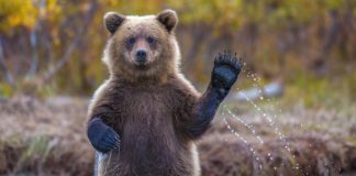 Bearish Sign: Bitcoin Volatility Strikes Lowest Level