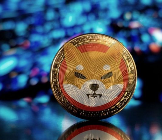 Shiba Inu Lead Dev Fires Up Buzz About New Collaboration, SHIB Cost Stagnates