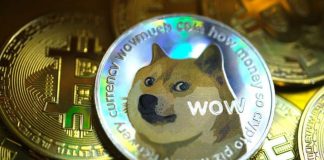 Dogecoin Amongst The Majority Of Browsed Cryptos Of The Year, Will It Keep Its Area In 2023?