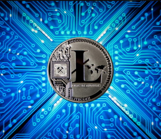 Litecoin, ‘second Many Active Crypto,’ Increases After Expert Called LTC Holders ‘Morons’
