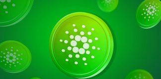Cardano (ADA) Incredibly Undervalued? On-Chain Data Recommends So