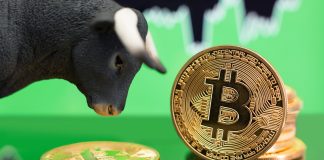 Bitcoin Might See Another Bull Rally If This Takes Place