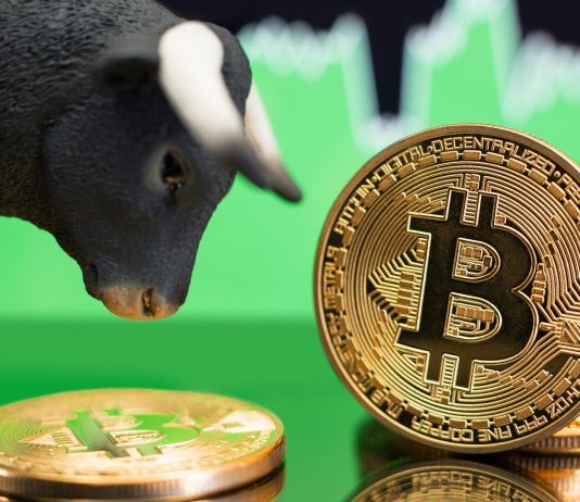 Bitcoin Might See Another Bull Rally If This Takes Place Bitcoin Might See Another Bull Rally If This Takes Place