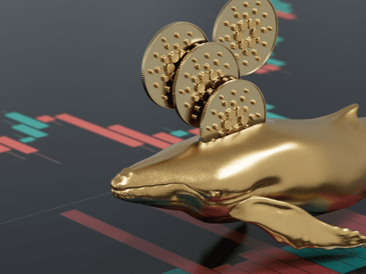 Santiment: Bitcoin Will Pattern Lower Due To The Fact That Whales Are Still Offering Santiment: Bitcoin Will Pattern Lower Due To The Fact That Whales Are Still Offering