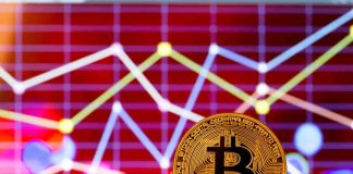 Bitcoin Financier Belief Stays Steady As BTC Stalls At $16,000 Bitcoin Financier Belief Stays Steady As BTC Stalls At $16,000