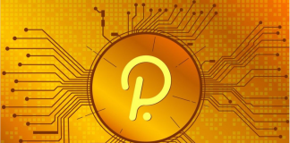 Is Polkadot (DOT) An Essential For Your 2023 Portfolio?