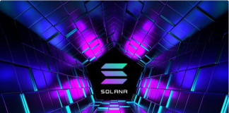 Solana Continues Its Freefall– Will The FUD Ever Stop?