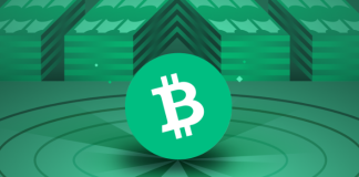 Bitcoin Money Closes 2022 With A Year-Low– Will 2023 Be Much better?