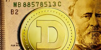 Dogecoin Rate Falls, Is It A Wise Concept To Short?