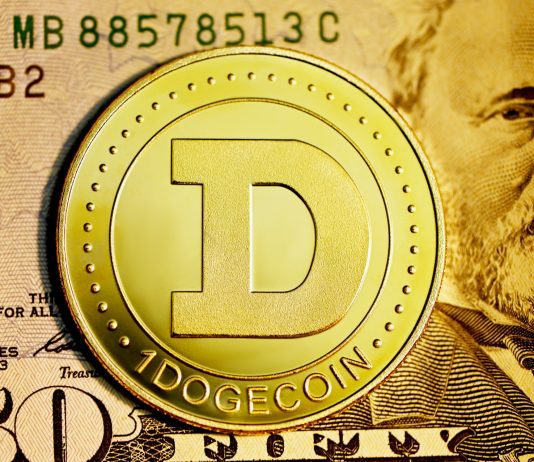 Dogecoin Rate Falls, Is It A Wise Concept To Short?