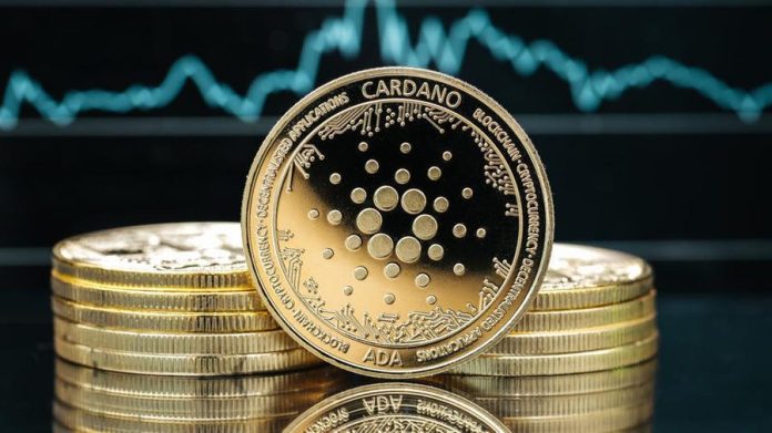 Cardano Whales Start 2023 With Build-up Pattern That Might Be Bullish For ADA