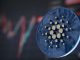Cardano Up 30% Given That December As 28 Brand-new Whales Hold A minimum of 1 Million ADA