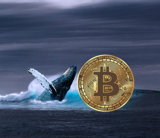 Bullish Signal: Bitcoin Whales Go On 20,000 BTC Purchasing Spree