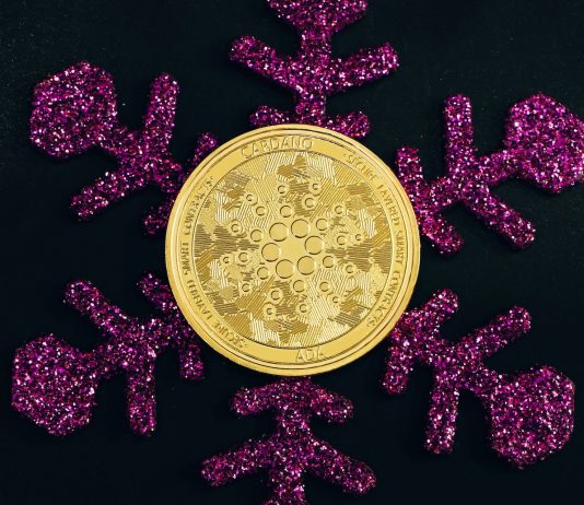 Essential Levels To Keep Eye On As Cardano Cost Starts To Retreat
