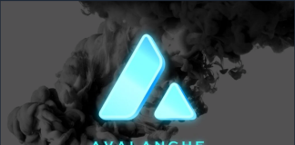 Avalanche Impresses With 32% Rally– Will AVAX Sustain This Climb?