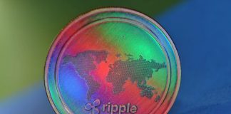 XRP Cost Goes Upward With Increasing Whale Activity