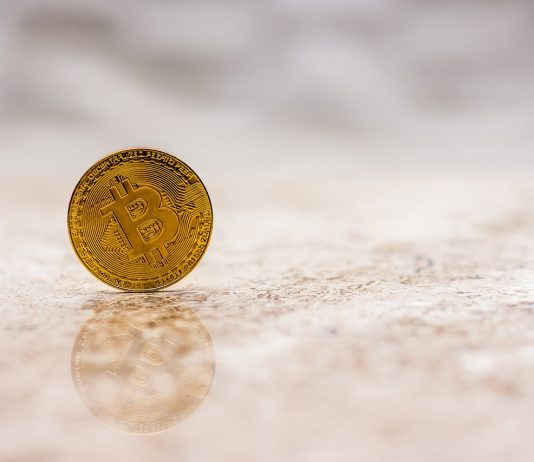 Bitcoin Cost Rises With Whale Activity, What Occurs Now?