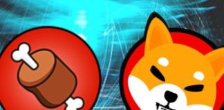 Shiba Inu’s BONE Bags Brand-new Noting As Token Rises 14% In 7 days