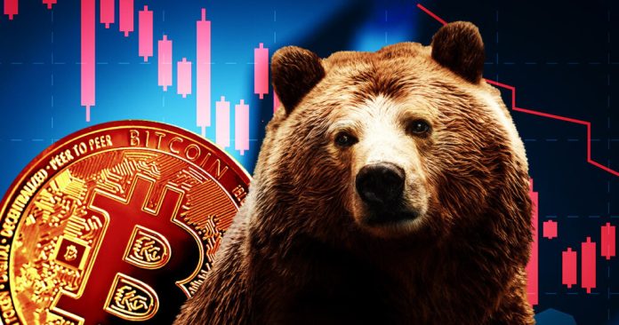 Bitcoin May Fall Listed Below $20,000 Prior To Bull Rally Resumes, Expert States
