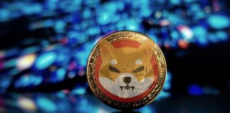 Shiba Inu (SHIB) Is Up 4% As Lead Dev Teases Specific Beta Release Date Shiba Inu (SHIB) Is Up 4% As Lead Dev Teases Specific Beta Release Date