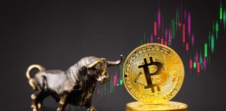 Crypto Expert States Bitcoin Rate Might See Another 30% Rally
