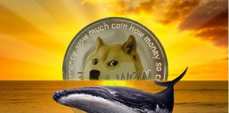 Whales Bag 500 Million Dogecoin– Will DOGE Struck $0.1 Mark?