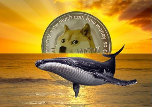 Whales Bag 500 Million Dogecoin– Will DOGE Struck $0.1 Mark?