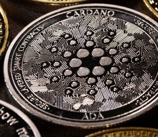 Cardano’s Aggressive Advancement Activity Will Withstand Bear Attack At $0.3?