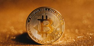 Banking Giant Goldman Sachs Ranks Bitcoin As World Finest Carrying Out Possession