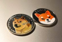 Shiba Inu Observes Greatest Increase In Burn Rate– Is This Typical?