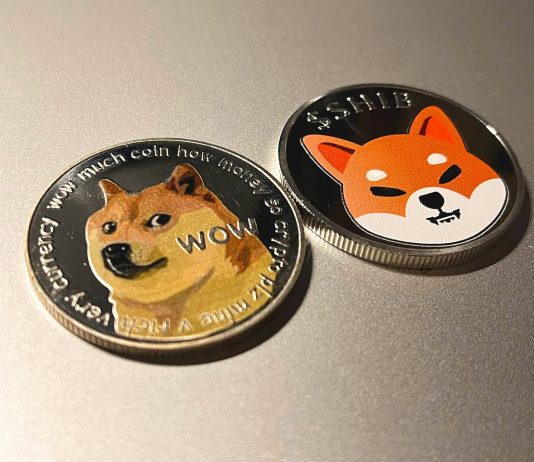 Shiba Inu Observes Greatest Increase In Burn Rate– Is This Typical?