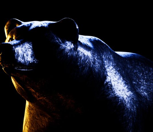 Twister Money Suffers 13% Bear Struck, Will Parole Save Rate?