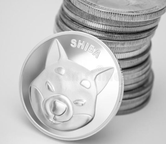 Shiba Inu Cost Holds Above $0.00001– Is It Time For A Rally?