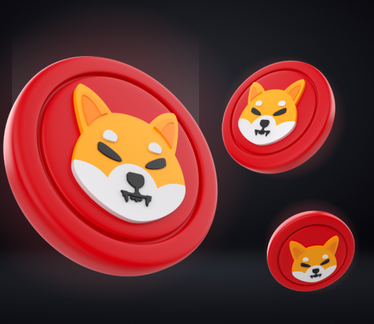 Shiba Inu (SHIB) Cost Deals With Make-Or-Break Minute