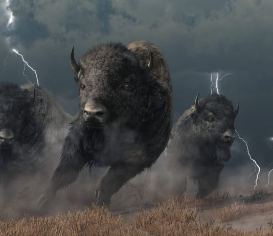 Bullish Momentum Expected For ARB As Arbitrum Finishes DAO Airdrop