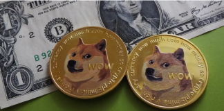 37 Billion Dogecoin Holdings In Jeopardy: Cost Level Investors Ought To View