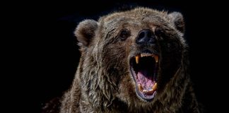 Bitcoin Bearish Signal: NVT Golden Cross Goes Into Overbought Zone