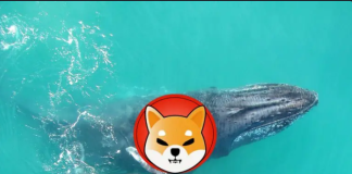 Shiba Inu Whales Unload Billions In The Middle Of SHIB Cost Retreat