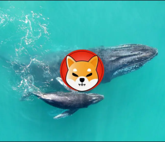 Shiba Inu Whales Unload Billions In The Middle Of SHIB Cost Retreat