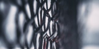 Chainlink Presses Above $7, Will The Short-Term Healing Hold?