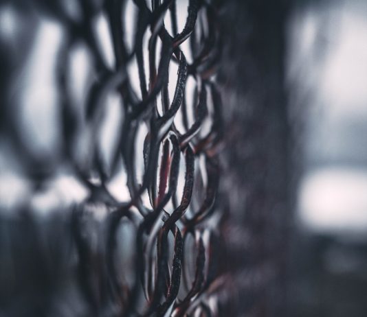 Chainlink Presses Above $7, Will The Short-Term Healing Hold?