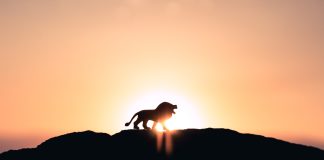 XRP Controls The Marketplace: ADV On Central Exchanges Risen by 46% In Q1 2023, Report