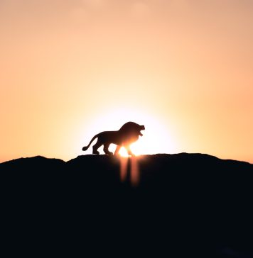 XRP Controls The Marketplace: ADV On Central Exchanges Risen by 46% In Q1 2023, Report