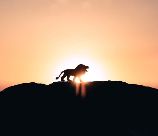 XRP Controls The Marketplace: ADV On Central Exchanges Risen by 46% In Q1 2023, Report XRP Controls The Marketplace: ADV On Central Exchanges Risen by 46% In Q1 2023, Report