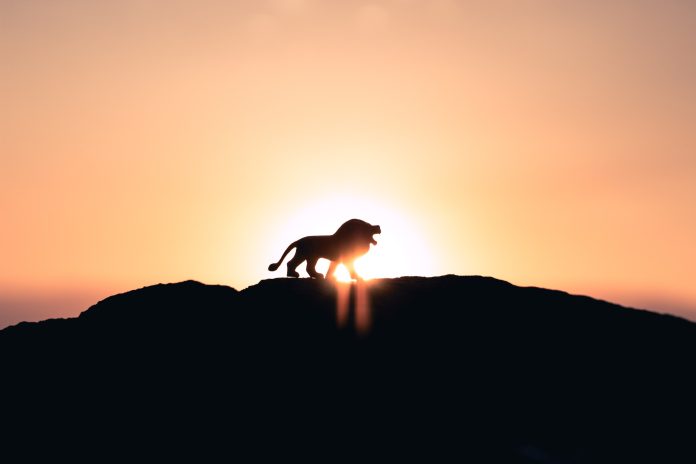 XRP Controls The Marketplace: ADV On Central Exchanges Risen by 46% In Q1 2023, Report