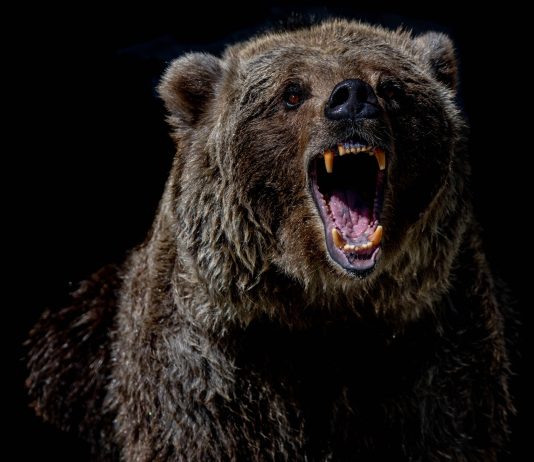 Bitcoin Deals With Possible Rate Drop To $25,000, On-Chain Data Signals Bearish Pattern Bitcoin Deals With Possible Rate Drop To $25,000, On-Chain Data Signals Bearish Pattern